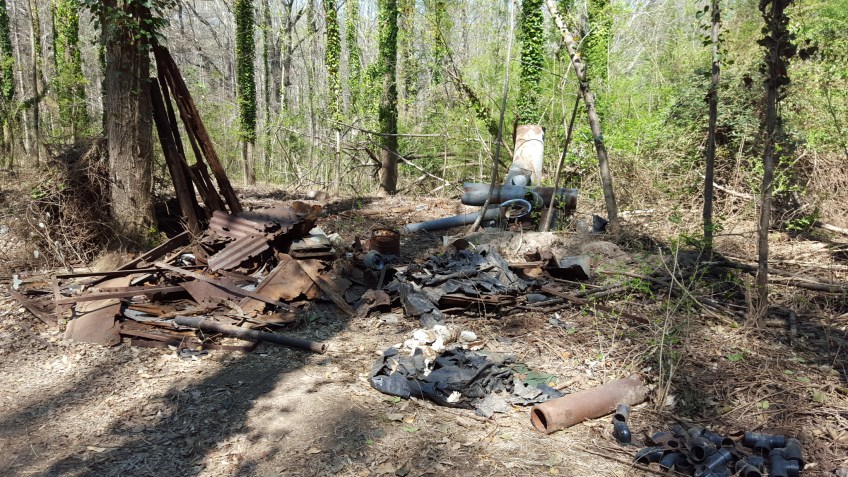 Sheep can safely go where no man dare to tread!